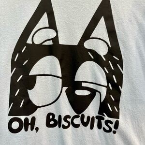 Bella Canvas Sky Blue Tee XL